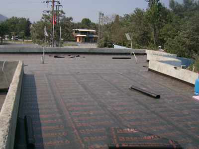 CMS 7